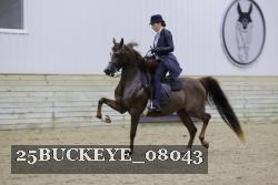 25BUCKEYE_08043 proof