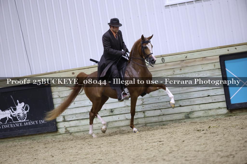 Proof 25BUCKEYE_08044