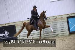25BUCKEYE_08044 proof