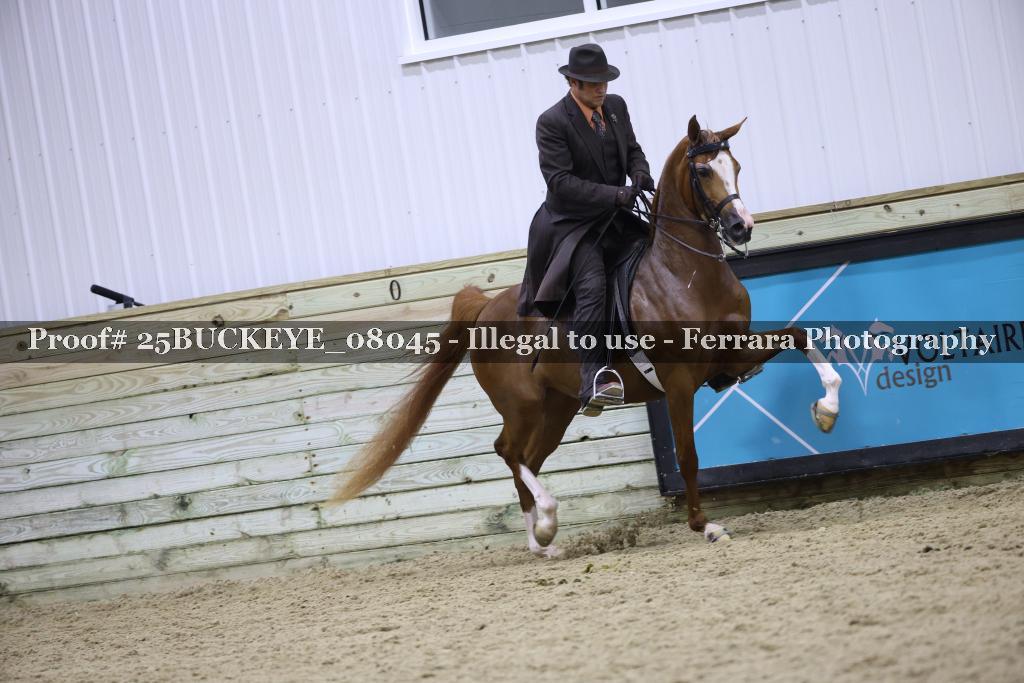 Proof 25BUCKEYE_08045