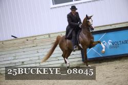 25BUCKEYE_08045 proof