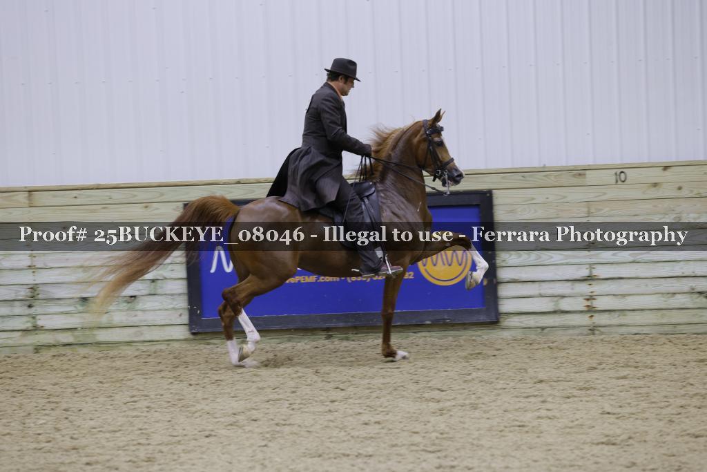 Proof 25BUCKEYE_08046
