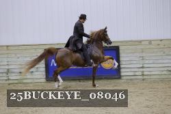 25BUCKEYE_08046 proof