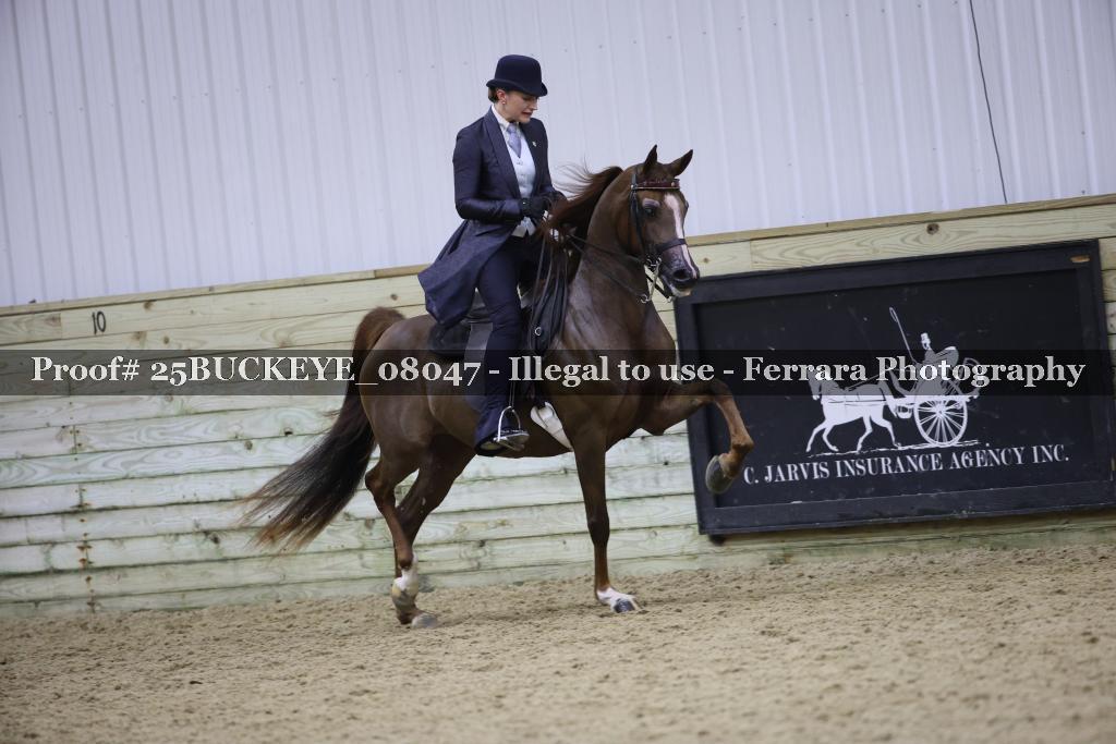 Proof 25BUCKEYE_08047