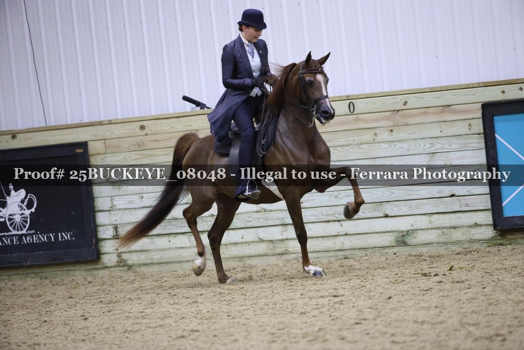 Proof 25BUCKEYE_08048