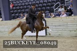 25BUCKEYE_08049 proof