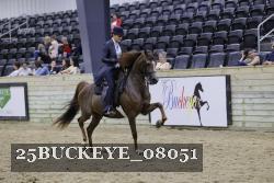 25BUCKEYE_08051 proof
