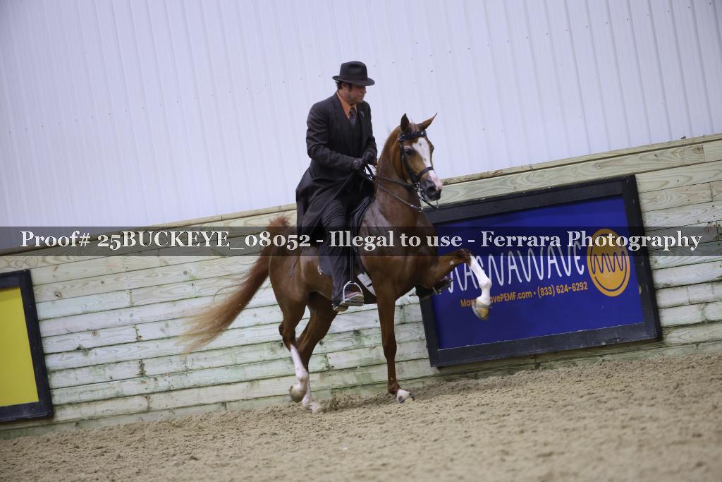 Proof 25BUCKEYE_08052