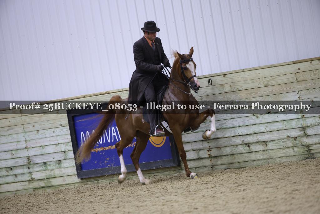 Proof 25BUCKEYE_08053