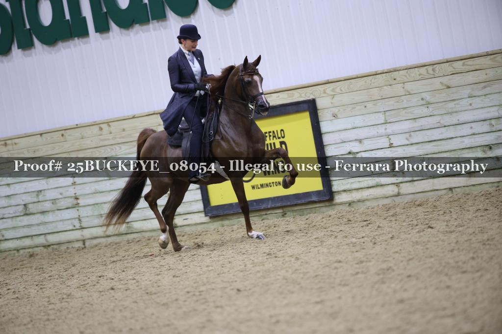 Proof 25BUCKEYE_08054