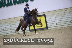 25BUCKEYE_08054 proof