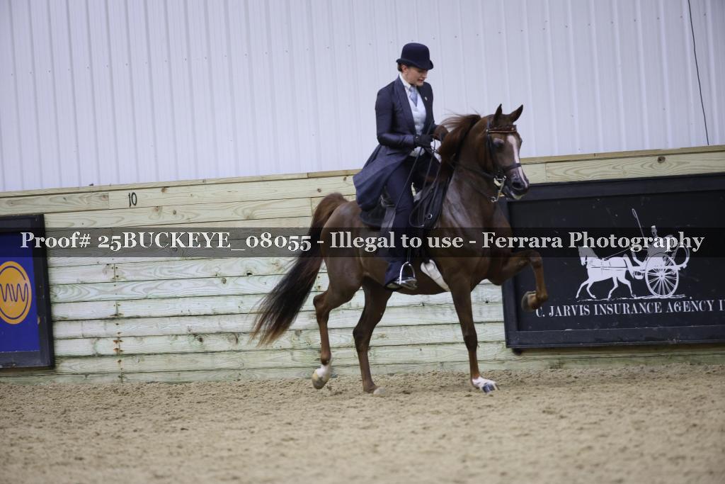 Proof 25BUCKEYE_08055