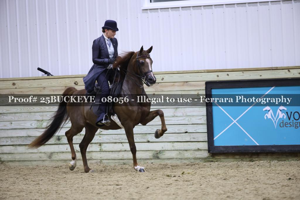 Proof 25BUCKEYE_08056