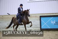 25BUCKEYE_08056 proof