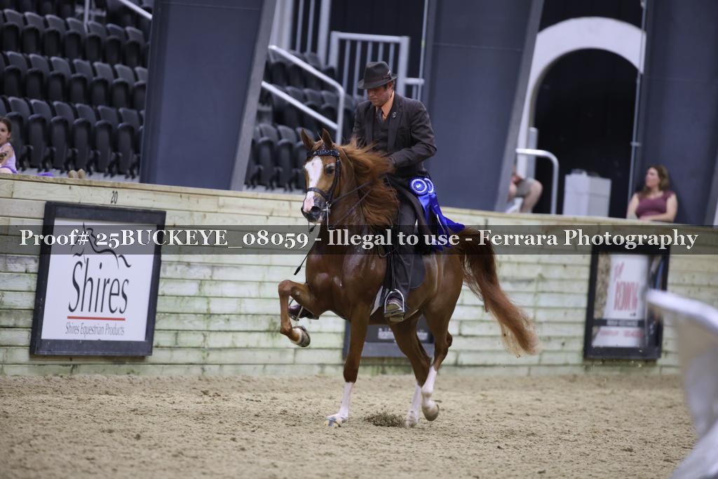 Proof 25BUCKEYE_08059