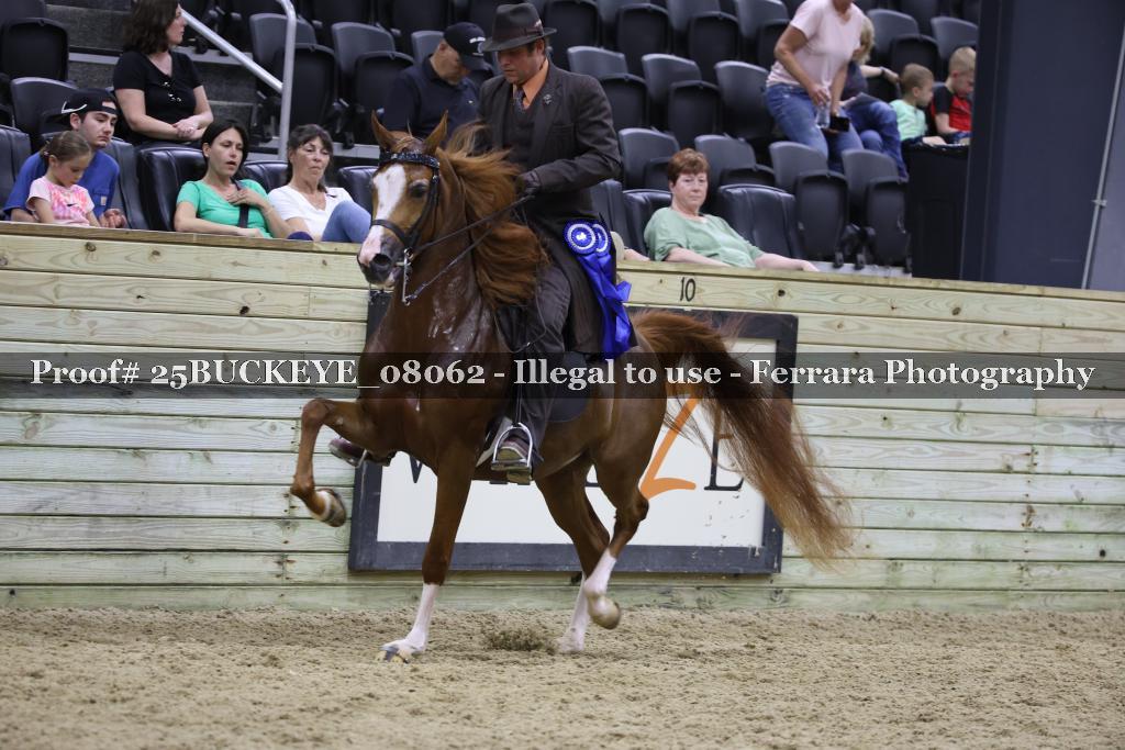 Proof 25BUCKEYE_08062