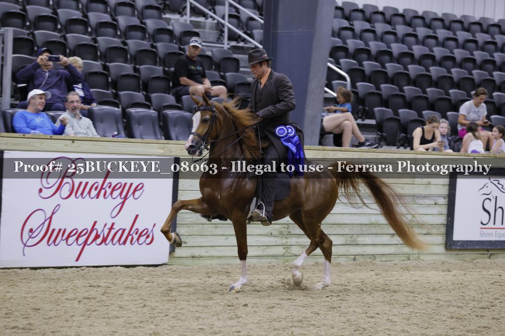 Proof 25BUCKEYE_08063