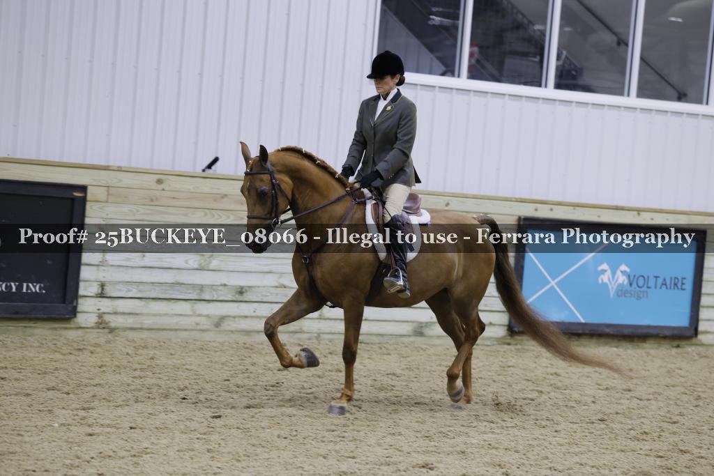 Proof 25BUCKEYE_08066