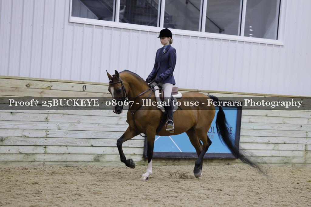 Proof 25BUCKEYE_08067