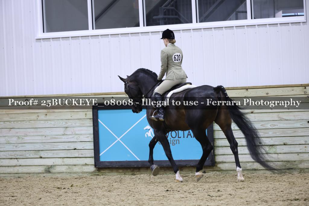 Proof 25BUCKEYE_08068