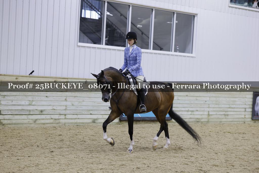 Proof 25BUCKEYE_08071