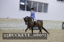 25BUCKEYE_08071 proof