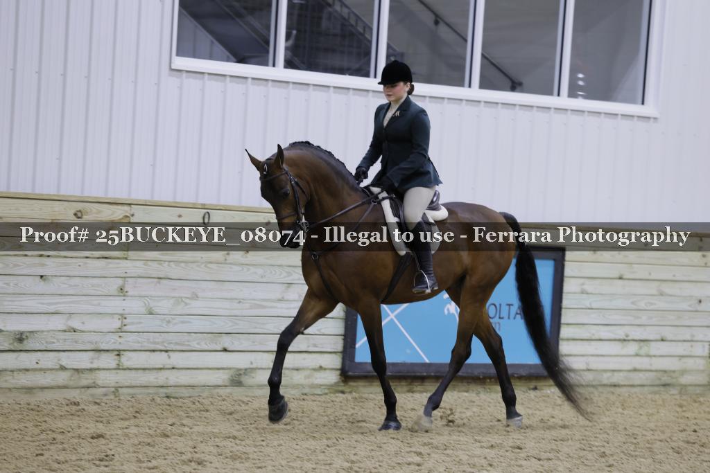 Proof 25BUCKEYE_08074