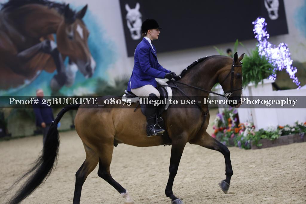 Proof 25BUCKEYE_08075