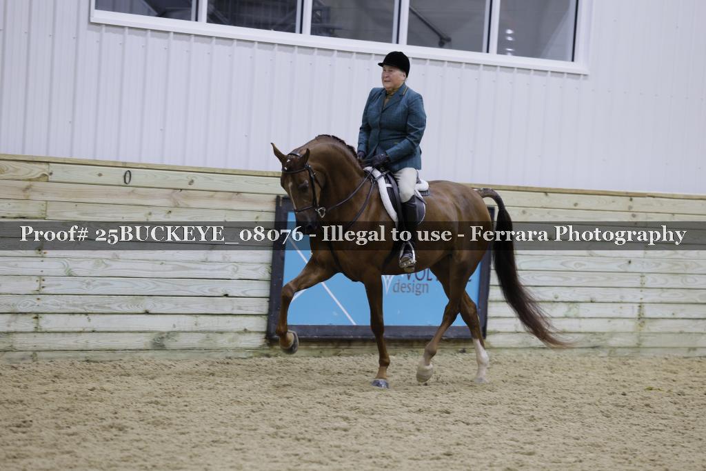 Proof 25BUCKEYE_08076