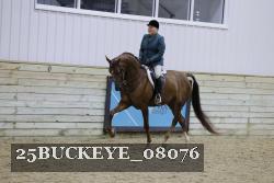 25BUCKEYE_08076 proof