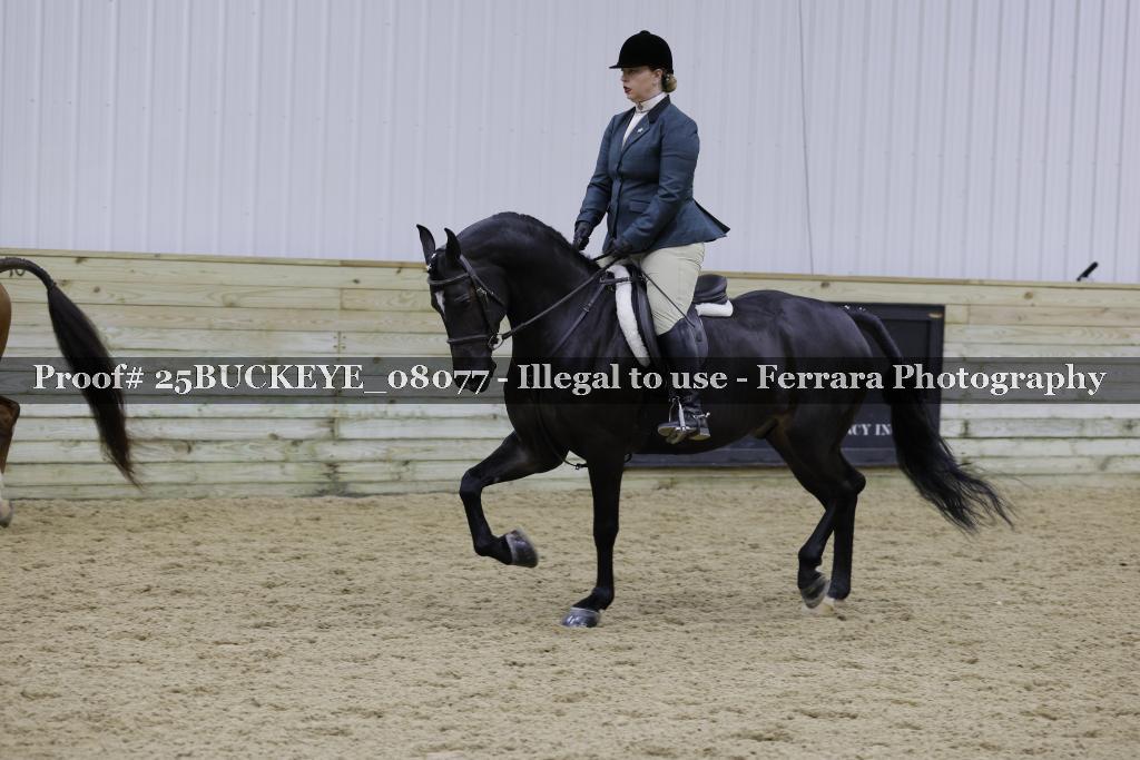 Proof 25BUCKEYE_08077