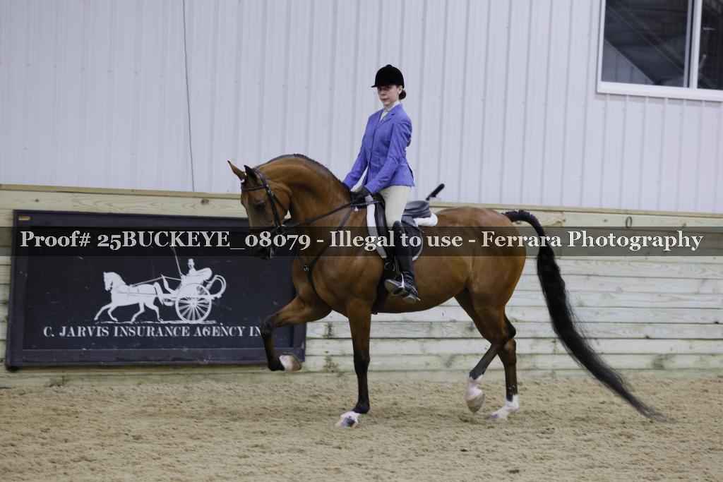 Proof 25BUCKEYE_08079