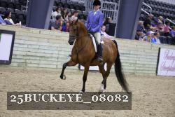 25BUCKEYE_08082 proof