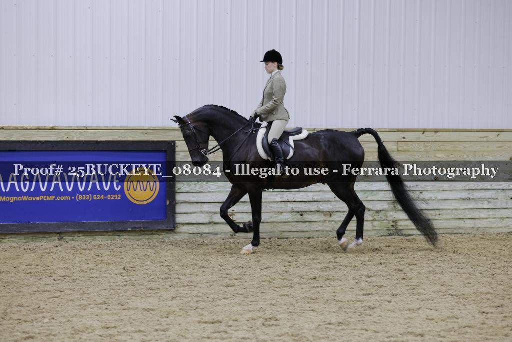 Proof 25BUCKEYE_08084