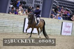 25BUCKEYE_08085 proof