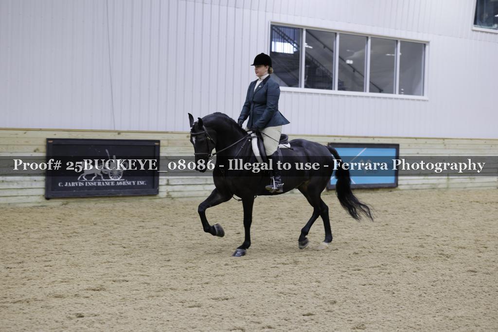Proof 25BUCKEYE_08086