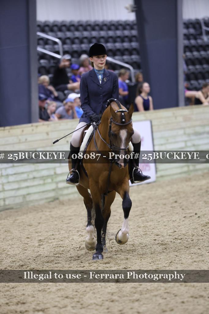 Proof 25BUCKEYE_08087