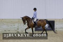 25BUCKEYE_08088 proof