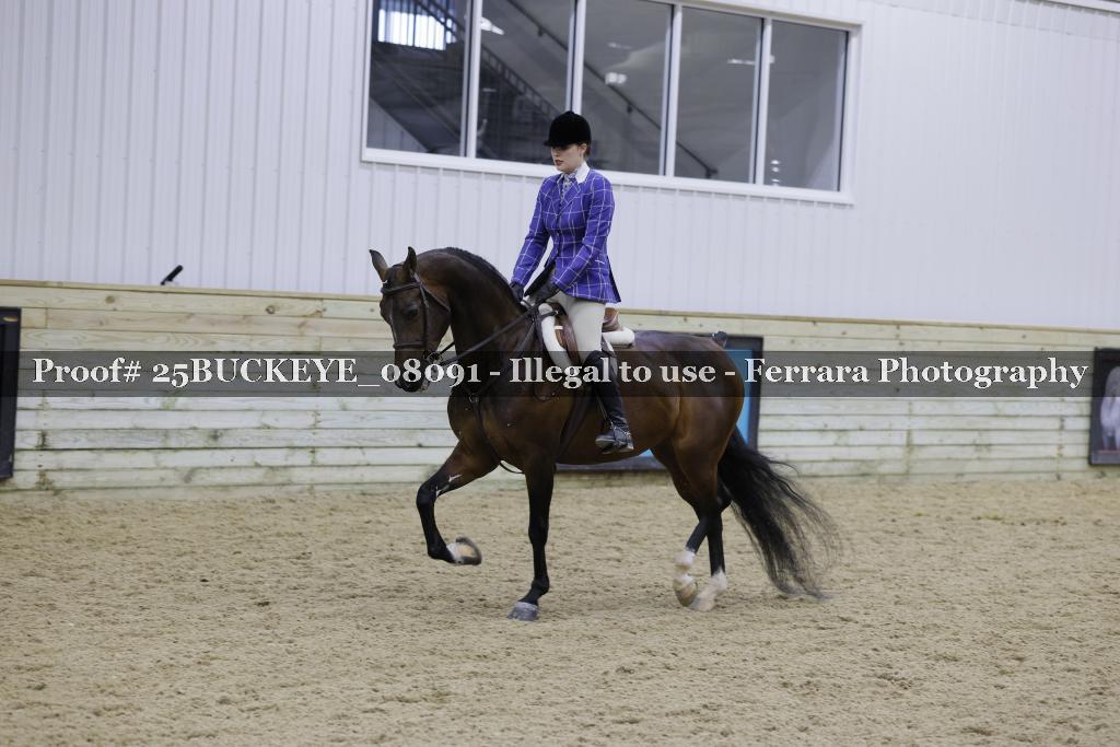 Proof 25BUCKEYE_08091