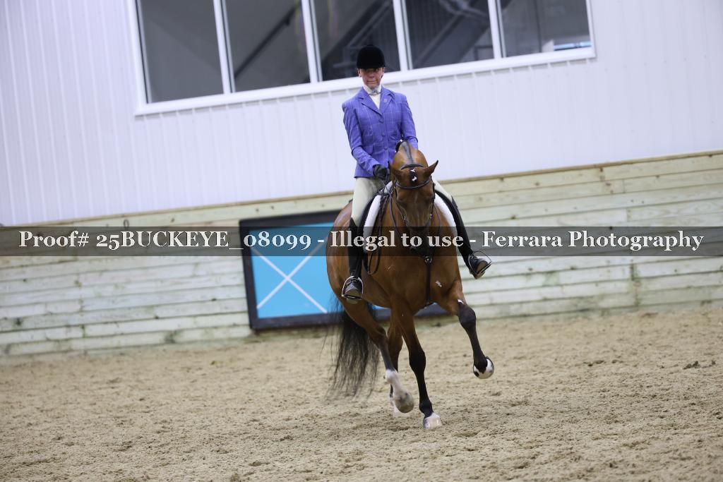 Proof 25BUCKEYE_08099