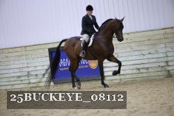 25BUCKEYE_08112 proof
