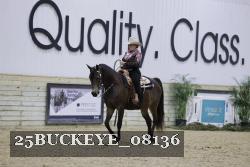 25BUCKEYE_08136 proof