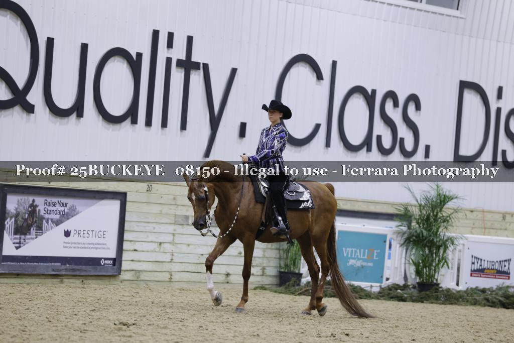 Proof 25BUCKEYE_08150