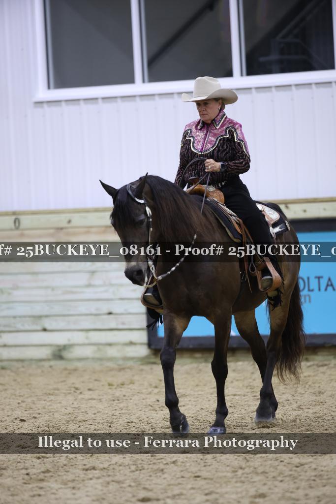 Proof 25BUCKEYE_08161