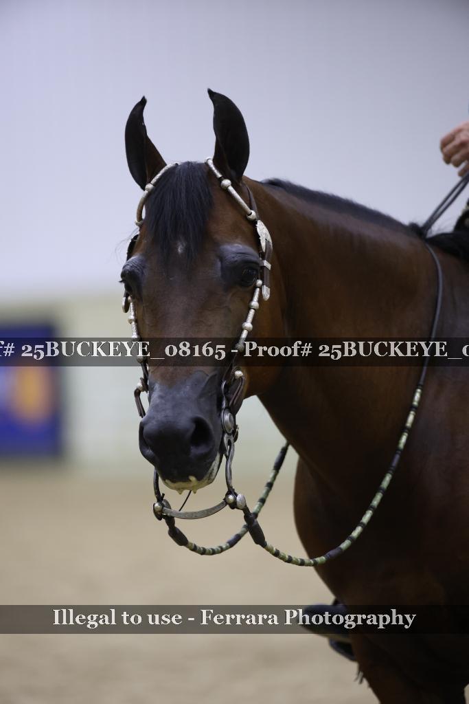 Proof 25BUCKEYE_08165