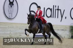 25BUCKEYE_08181 proof