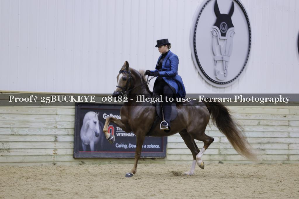 Proof 25BUCKEYE_08182