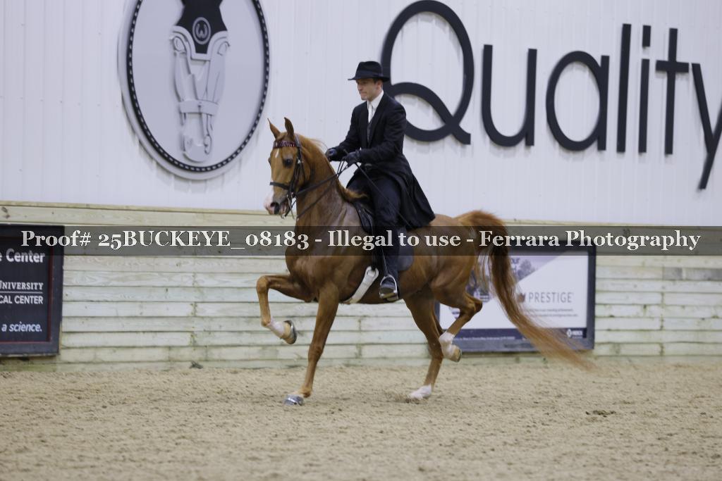 Proof 25BUCKEYE_08183