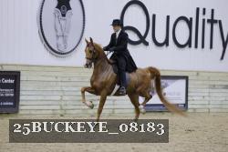 25BUCKEYE_08183 proof