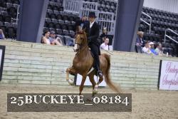 25BUCKEYE_08184 proof